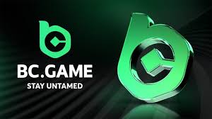 Understanding the Potential of BC.CO The Future of Blockchain Technology Understanding the Potential of BC.CO The Future of Blockchain Technology